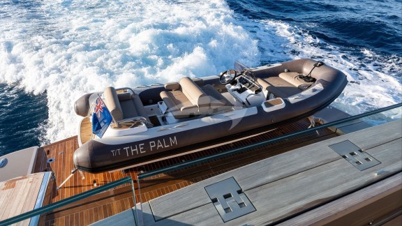 Swim Platform and Tender