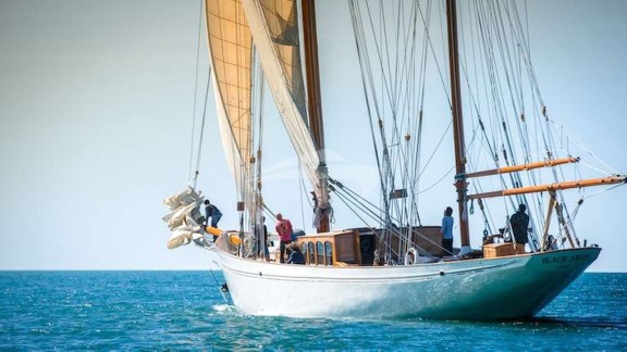 Black Swan 120 years later ...