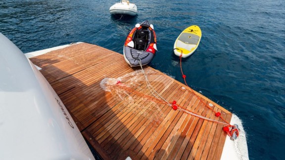 Swim Platform with Water Toys