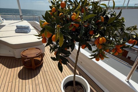 Nadja Asmus's photo from the onboard visit