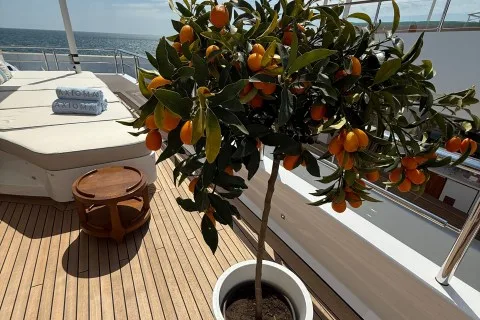 Nadja Asmus's photo from the onboard visit