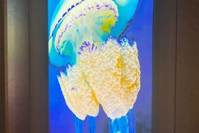 Real Yacht Image from Review