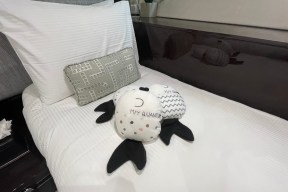 Real Yacht Image from Review