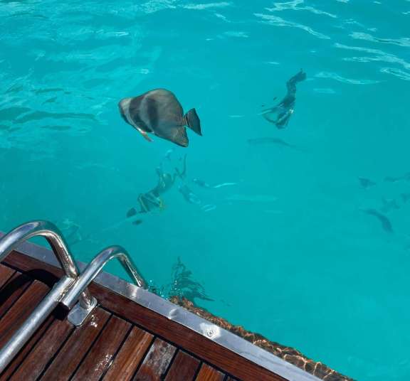 Image of Reve2Mer yacht #14