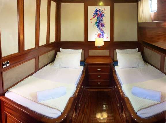 Image of Elianora yacht #12