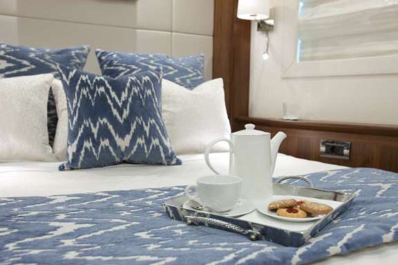 Image of Firefly yacht #11